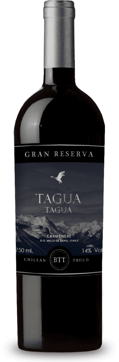 Tagua Tagua Gran Reserva Carmenere 1