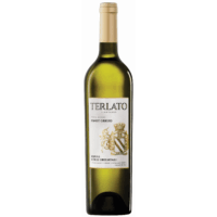Terlato Pinot Grigio