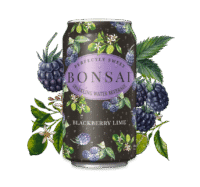 Outer Sips Blackberry Lime 5mg 4pk